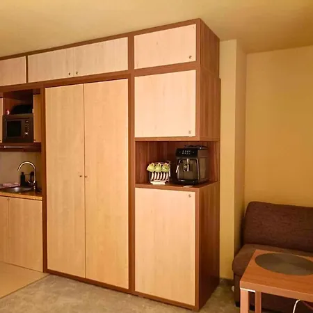 F Lomnici Apartment *